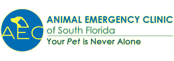 Animal Emergency Clinic of South Florida